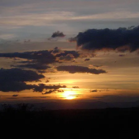 보게즌블리크 오이첸스 게스트하우스 프라이부르크 임 브리스가우