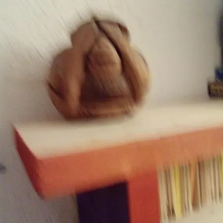 게스트하우스 보게즌블리크 오이첸스 *