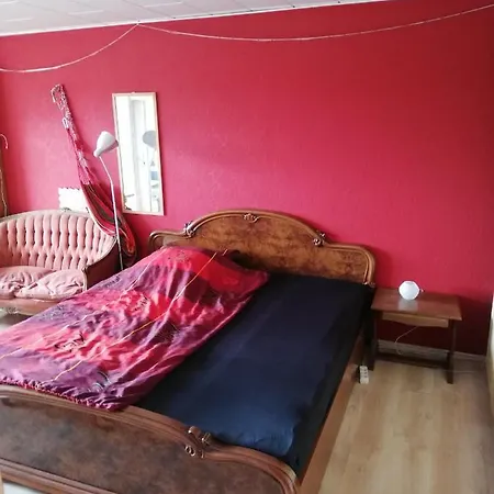 보게즌블리크 오이첸스 *